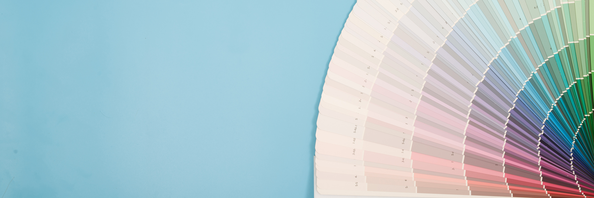 Surface Stories banner